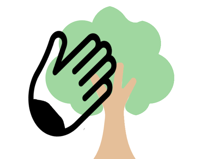 Baumpflege für Nürnberg und die Region Franken