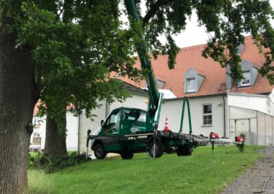 Baumpflege Nürnberg: Eichenprozessionsspinner am Golfplatz