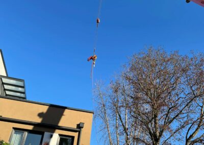 Baumfällung Nürnberg: Kranfällung eines faulen Silberahorn-4