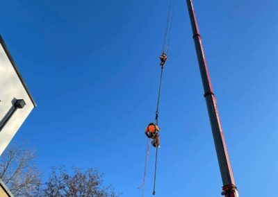 Baumfällung Nürnberg: Kranfällung eines faulen Silberahorn-5