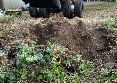 Wurzelstockfräse im einen Nürnberger Garten im Einsatz